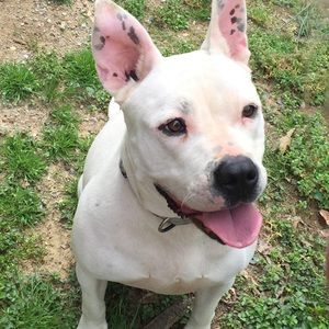 Meet your Posher, Dale